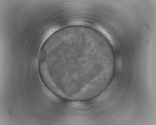 X0000115511330200911271422