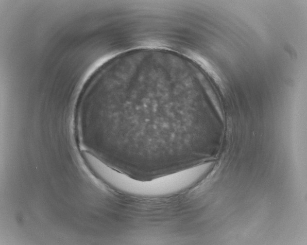 X0000115511331200911271422