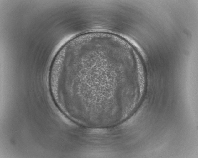 X0000115511333200911271423