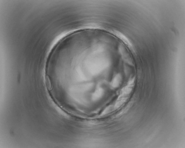 X0000115511334200911271423