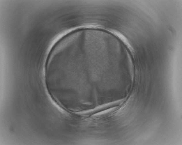 X0000115511335200911271423