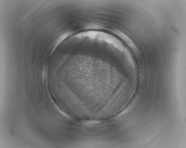 X0000115511337200911271423