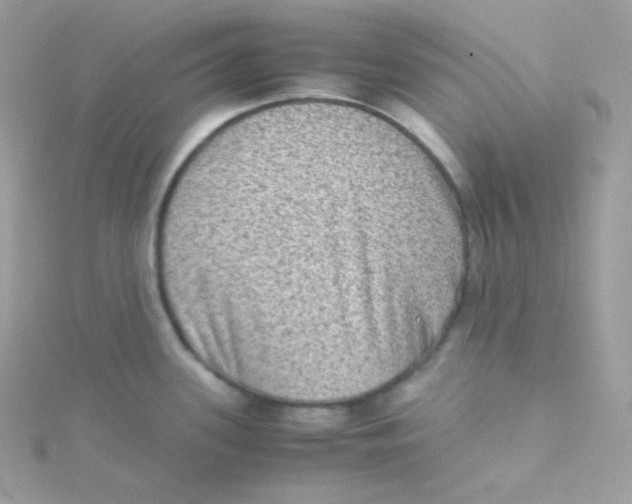 X0000115511339200911271423