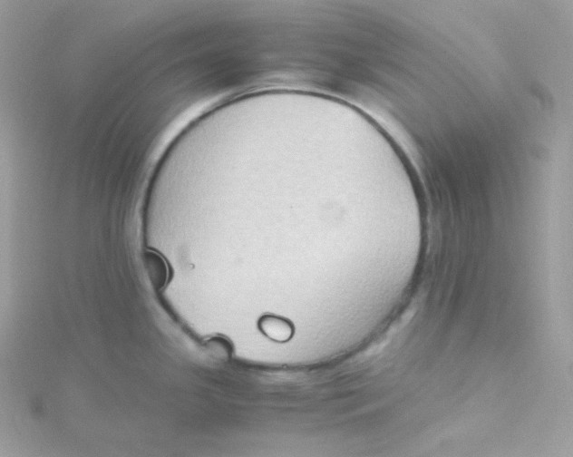 X0000115511341200911271423