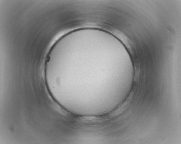 X0000115511342200911271423