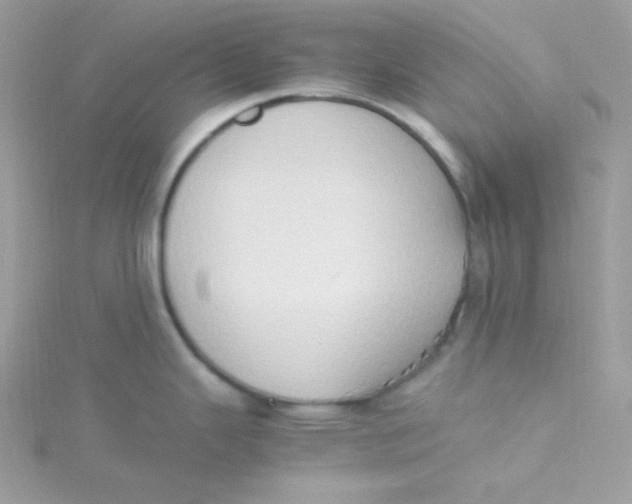 X0000115511343200911271423