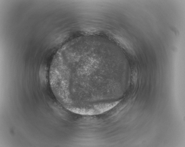 X0000115511346200911271422