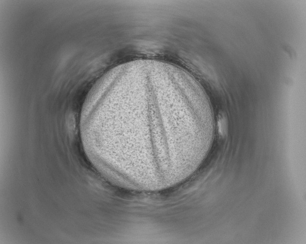 X0000115511347200911271422