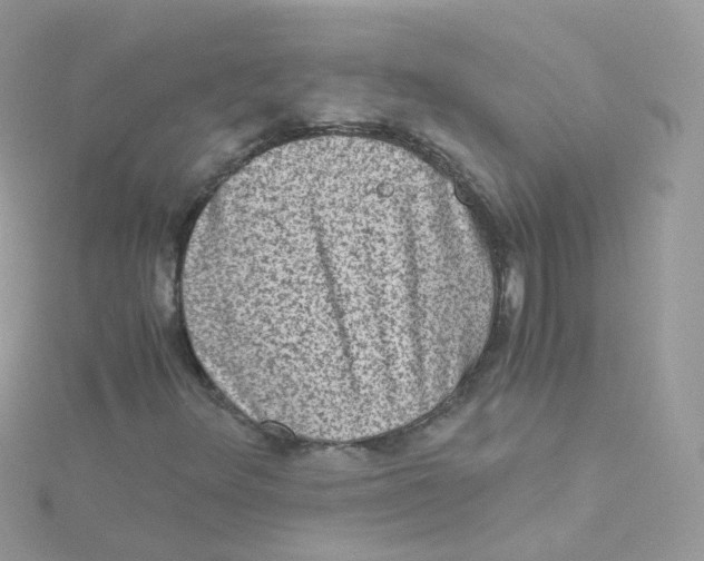 X0000115511348200911271422