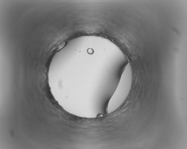 X0000115511349200911271422