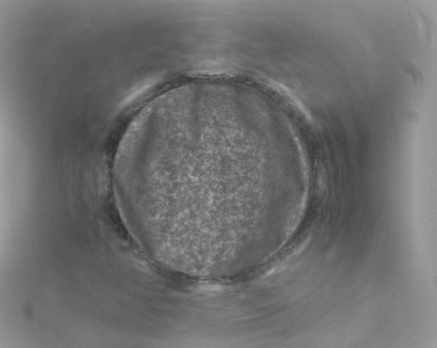 X0000115511350200911271422