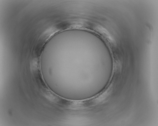 X0000115511353200911271422