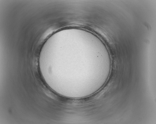 X0000115511355200911271422