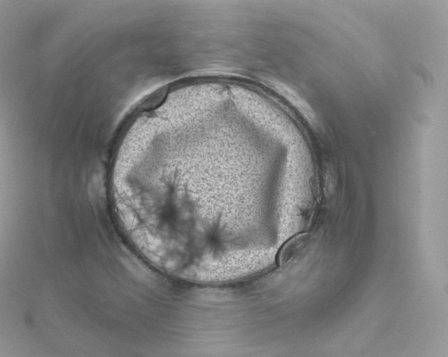 X0000115511356200911271422