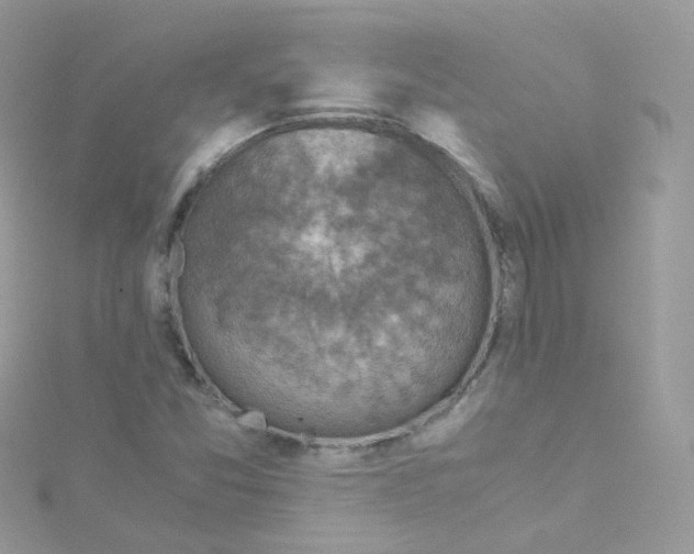 X0000115511357200911271422