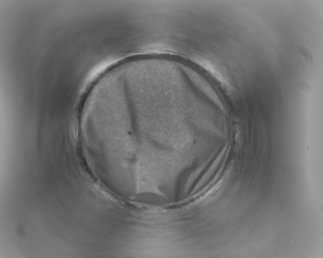 X0000115511358200911271422