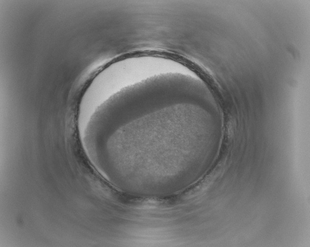 X0000115511359200911271422