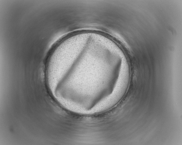 X0000115511360200911271422