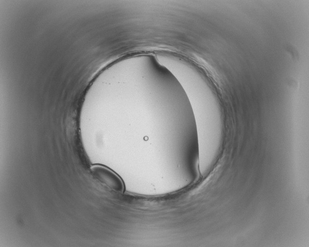 X0000115511361200911271422