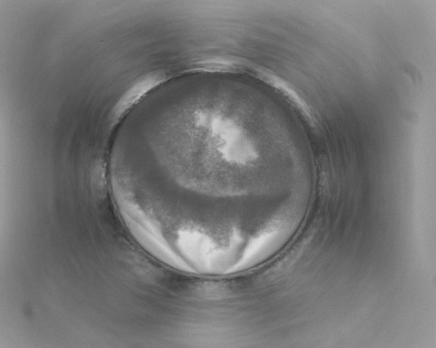 X0000115511362200911271422