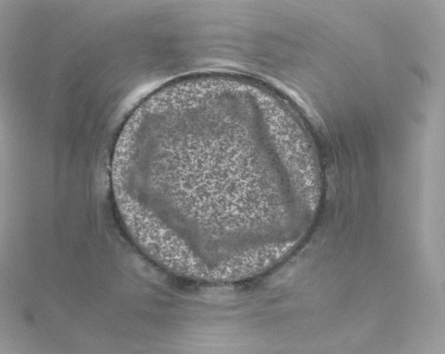 X0000115511363200911271422