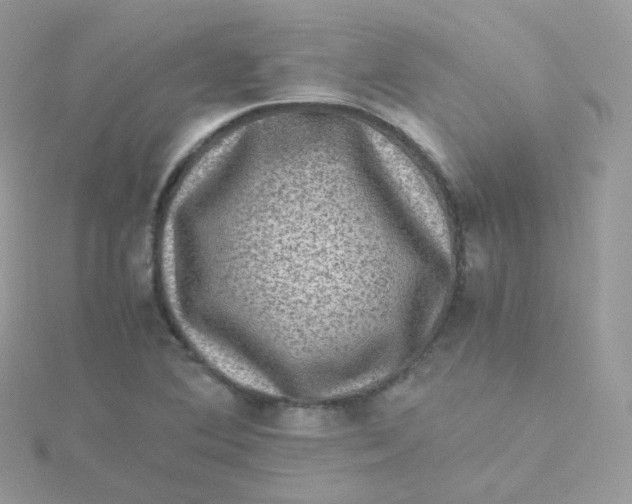 X0000115511364200911271422