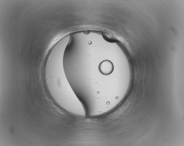 X0000115511365200911271422