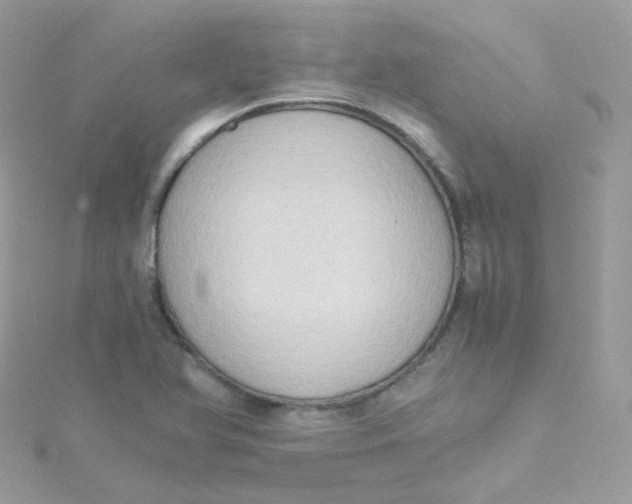 X0000115511366200911271422