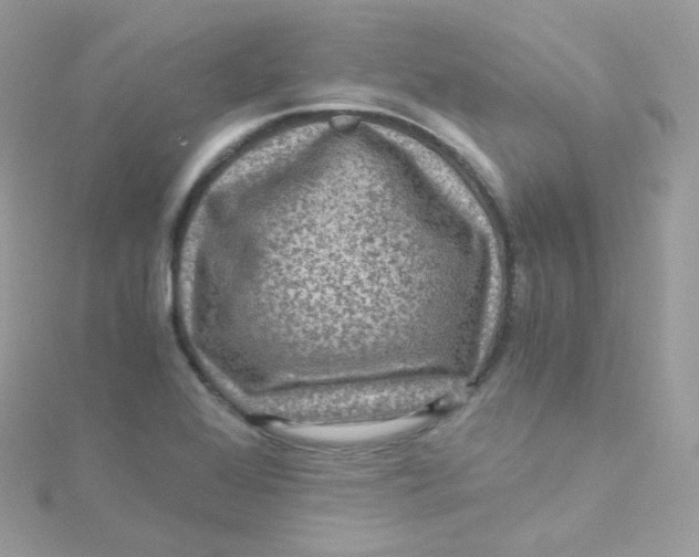 X0000115511368200911271422