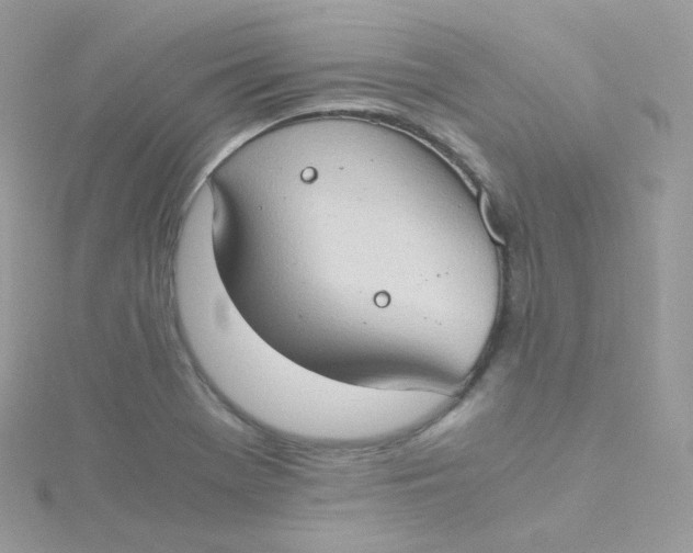 X0000115511369200911271422