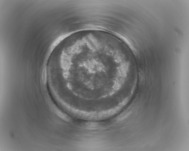 X0000115511371200911271422