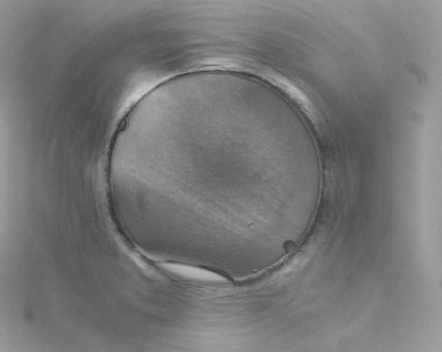 X0000115511373200911271422