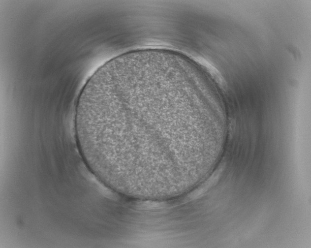 X0000115511374200911271422