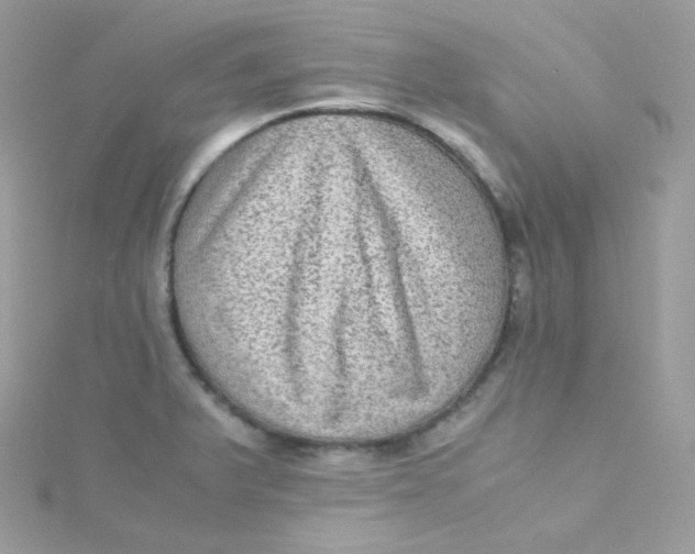 X0000115511375200911271422