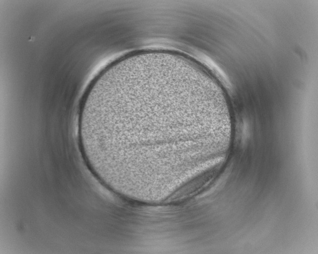 X0000115511376200911271422