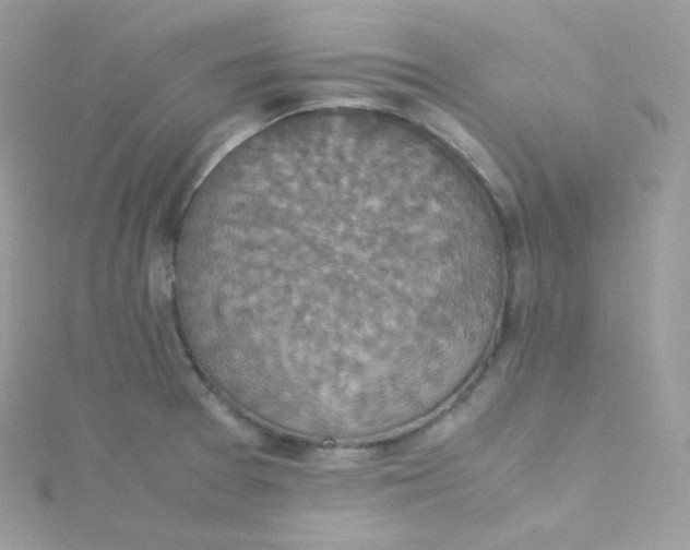 X0000115511377200911271422