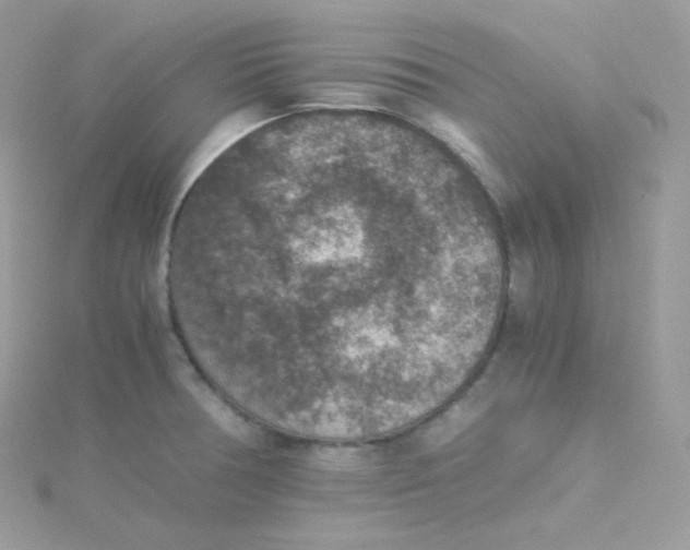 X0000115511378200911271422