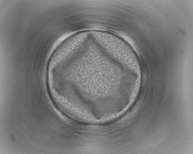 X0000115511379200911271422