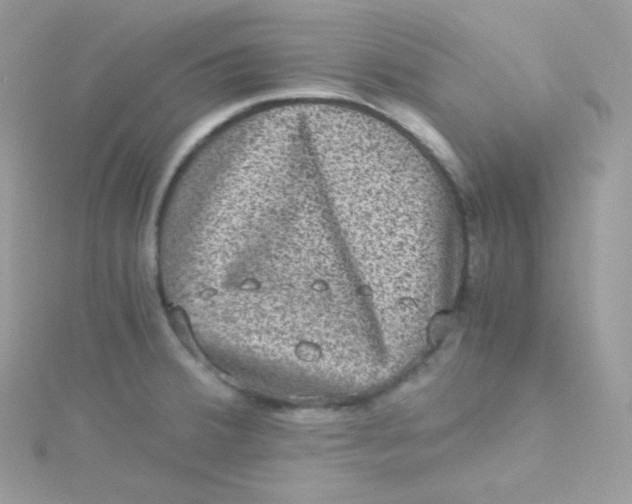 X0000115511380200911271422