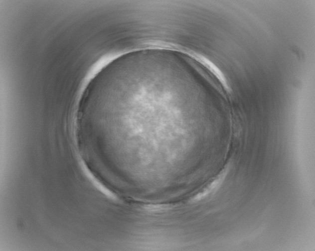 X0000115511381200911271422