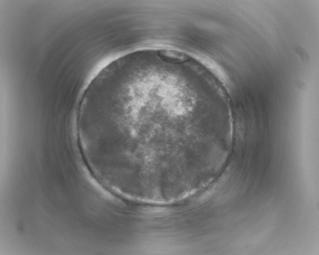 X0000115511382200911271422