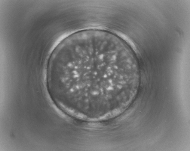 X0000115511383200911271422