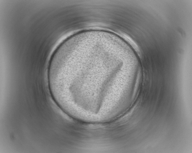 X0000115511384200911271422