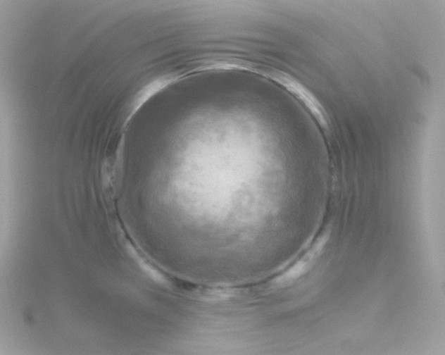 X0000115511385200911271422