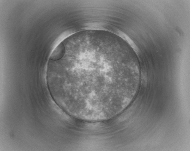 X0000115511386200911271422