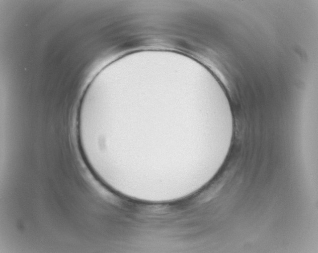 X0000115511387200911271422