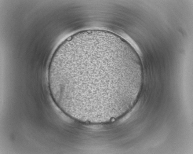 X0000115511388200911271421