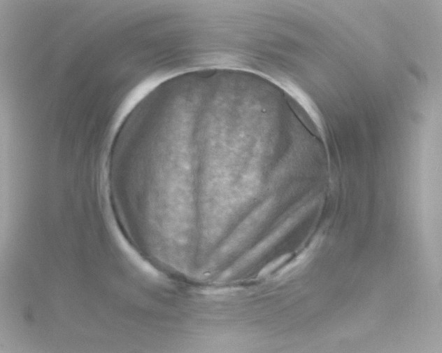 X0000115511389200911271421