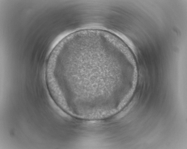 X0000115511390200911271421