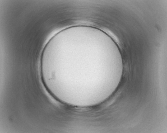 X0000115511391200911271421